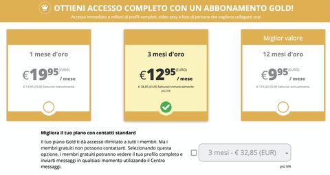 Screenshot dei prezzi di Adultfriendfinder
